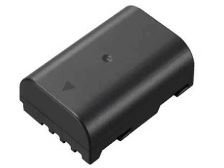 Oem Replacement camera battery PANASONIC  for DMW-BLF19 