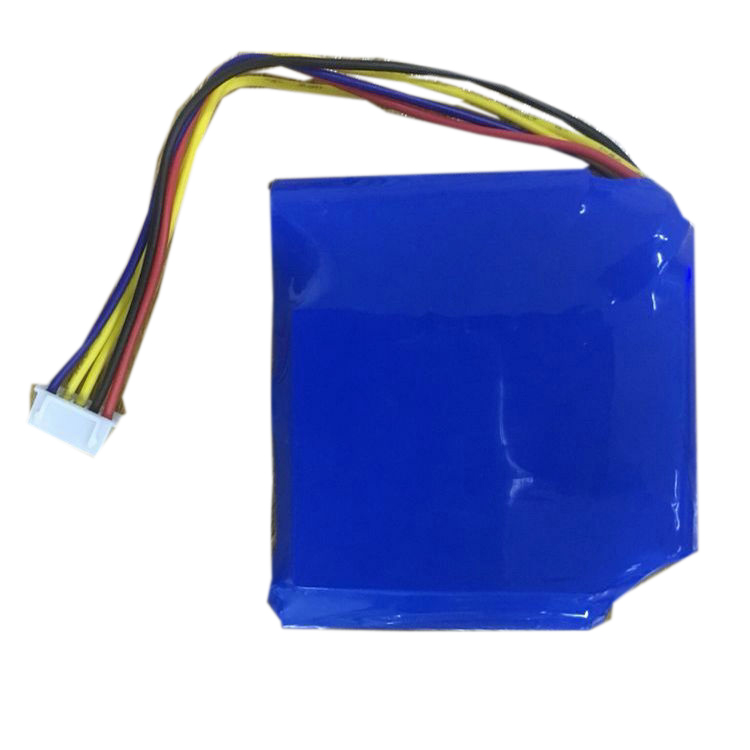 Oem Replacement Instrument battery Tosight  for DW-6000 